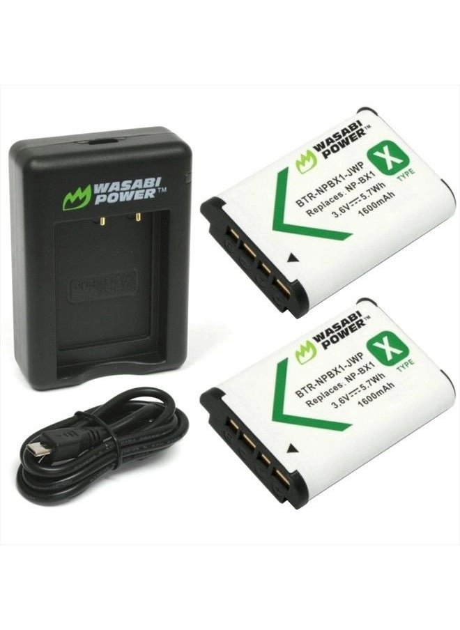 NP-BX1 Battery and Dual USB Charger (KIT-BB-NPBX1-01) &#8211; Pack of 2 &#8211; In-Depth Review