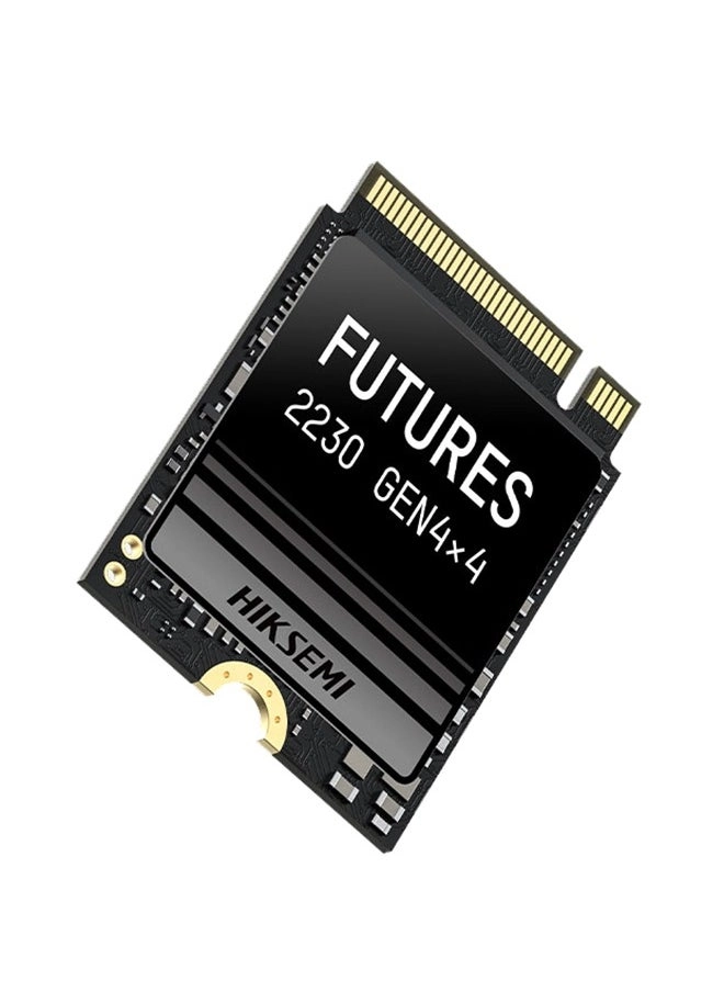 FUTURE ECO HS-SSD-FUTURES 2048GB 2TB Gen4x4 NVMe M.2 2230 SSD Review