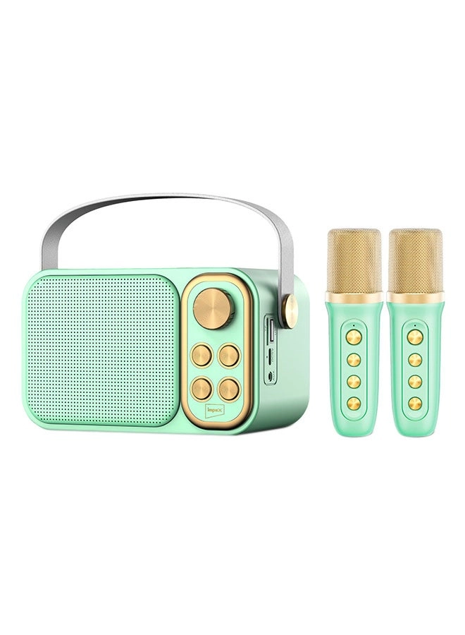 Portable Bluetooth Karaoke Speaker KM 1302 Review: Green &#038; Gold Wireless Fun