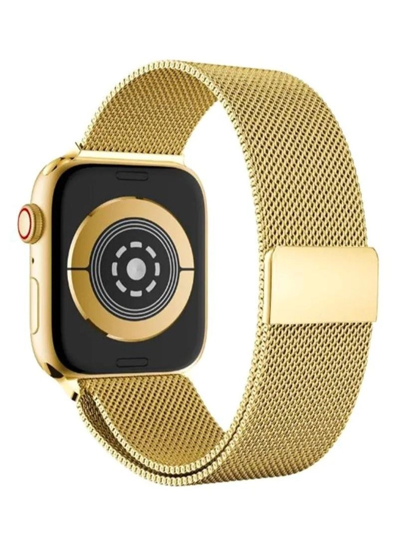 Apple Watchband (Milanese Loop) Review: 42mm(Series 10)/41mm/40mm/38mm Champagne Gold