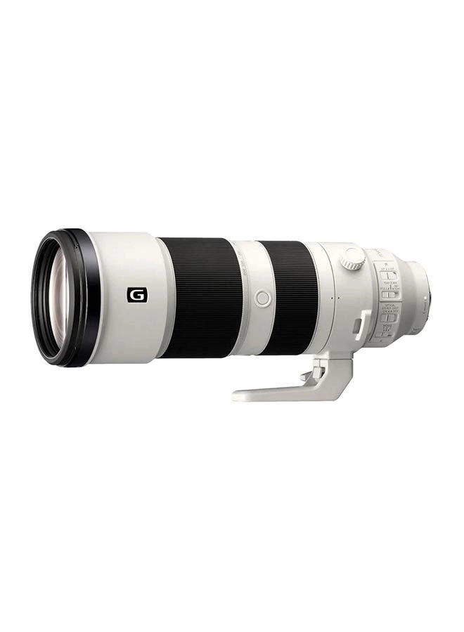 Sony FE 200-600mm F5.6-6.3 G OSS Lens SEL200600G Review &#8211; Super Telephoto Zoom