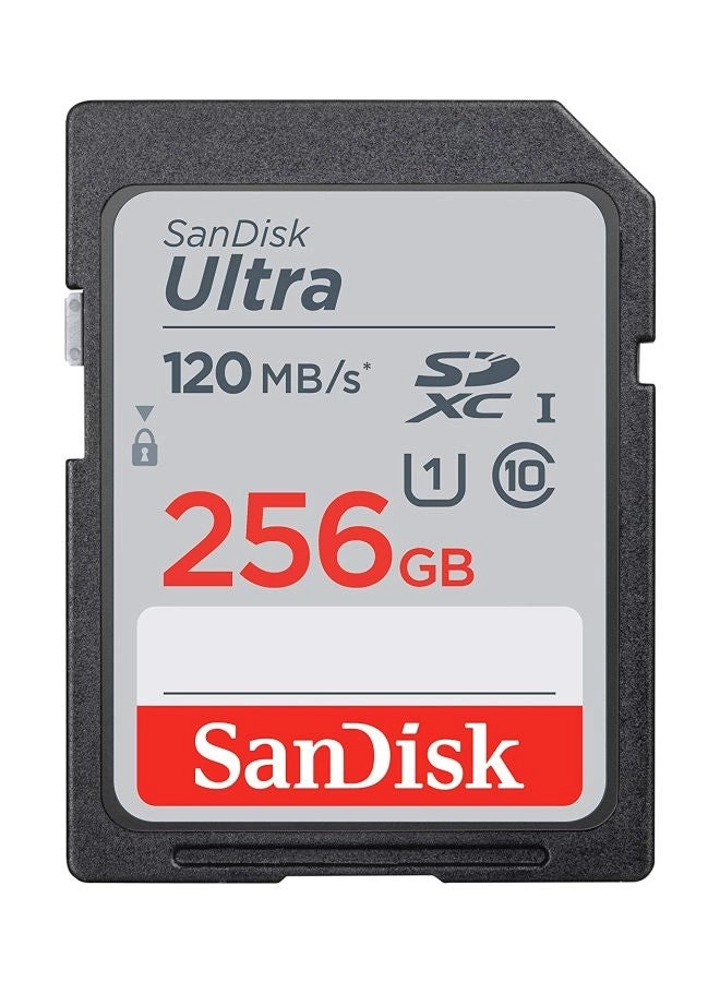 Ultra SDXC Memory Card 256GB SDSDUN4-256G-GN6IN Review