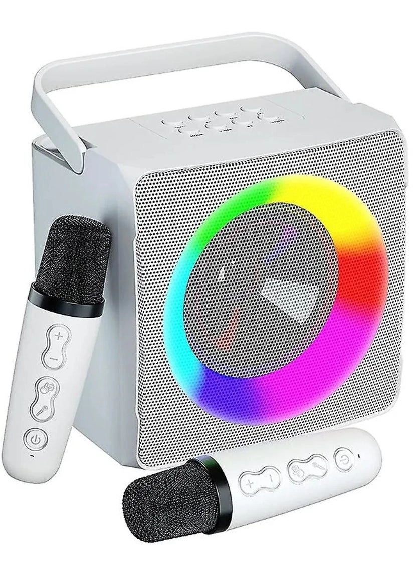 SD-508 Wireless Bluetooth Speaker with 2 Microphones Portable Karaoke Machine Review