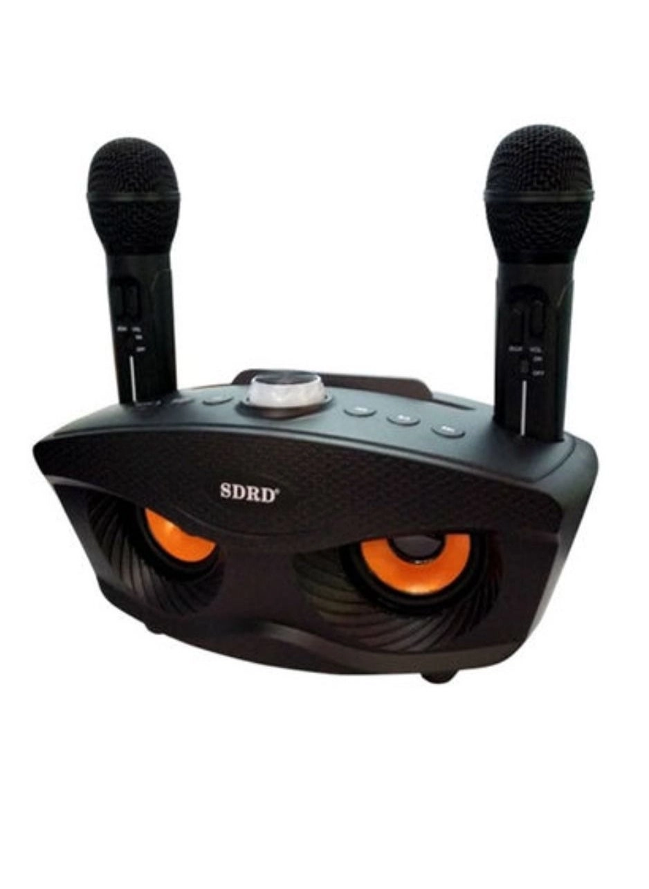 SD-306 Karaoke Machine Portable Bluetooth Speaker Review