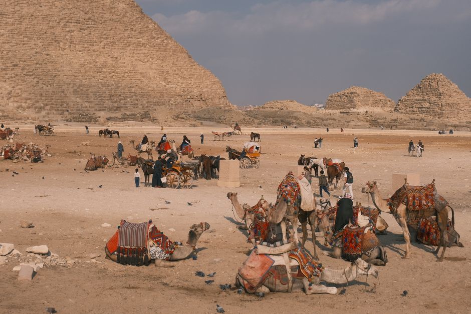 أهرامات الجيزة في مصر مع الجمال والسياح في الصحراء
