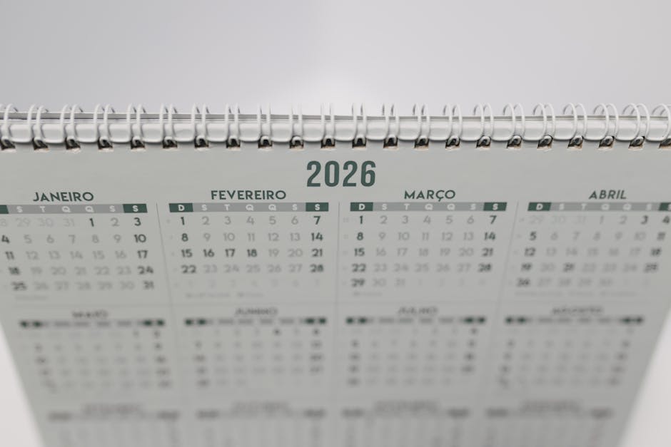 جدول فيتامينات يومية للنساء الحوامل: دليلك الشامل لكل مرحلة من الحمل 2026