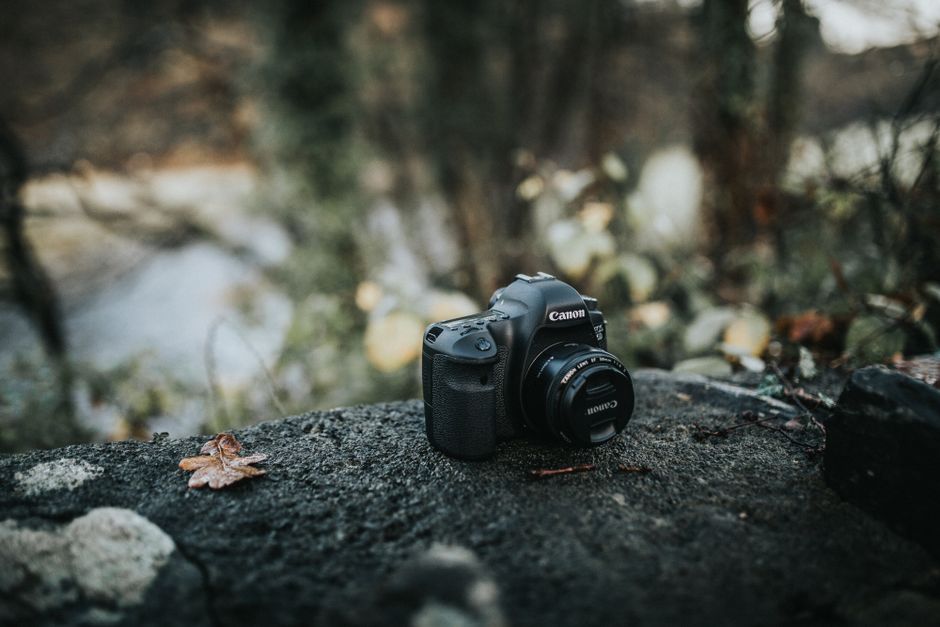 D.CAM EOS R8 +RF24-50 F4.5-6.3 Review &#8211; In-Depth Look at Model D.CAM EOS R8 +RF24-50 F4.5-6.3